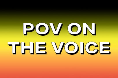 Voice to Parliament Referendum Resource Hub