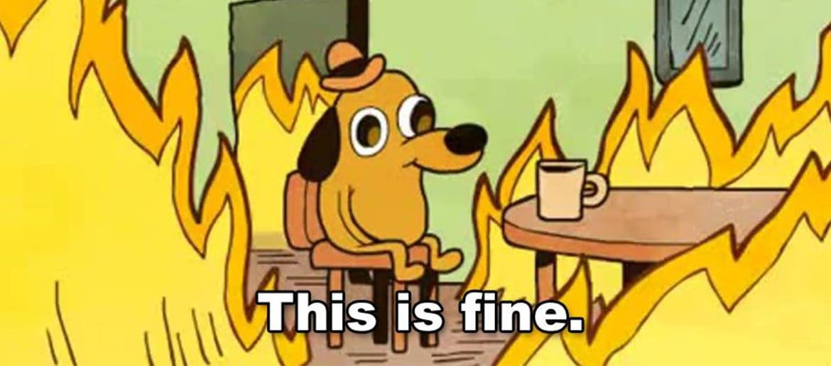 Why are the Greens being blamed for the NSW Bushfires?