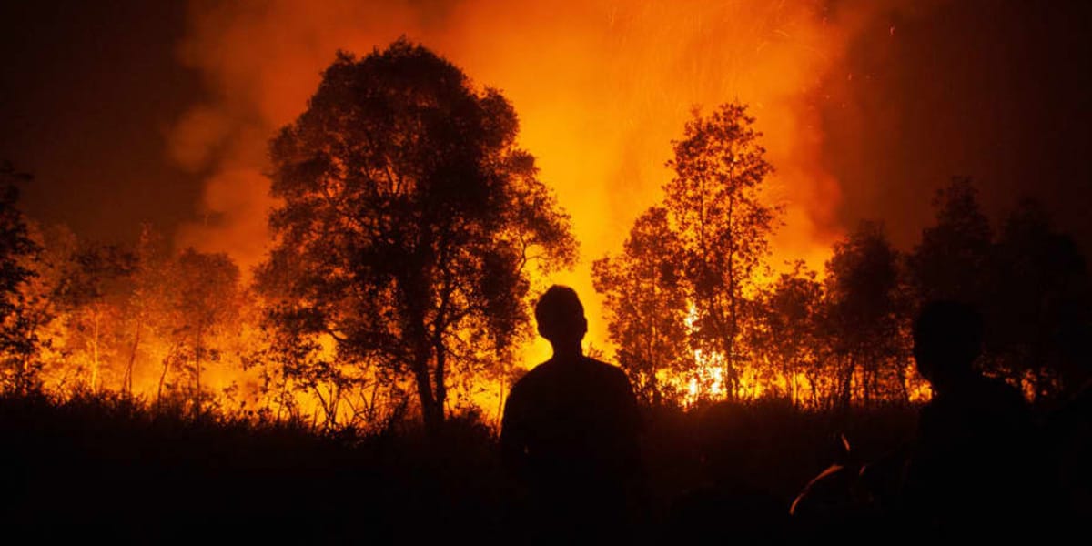 Our Fave Climate, Environment & Science Articles in 2023