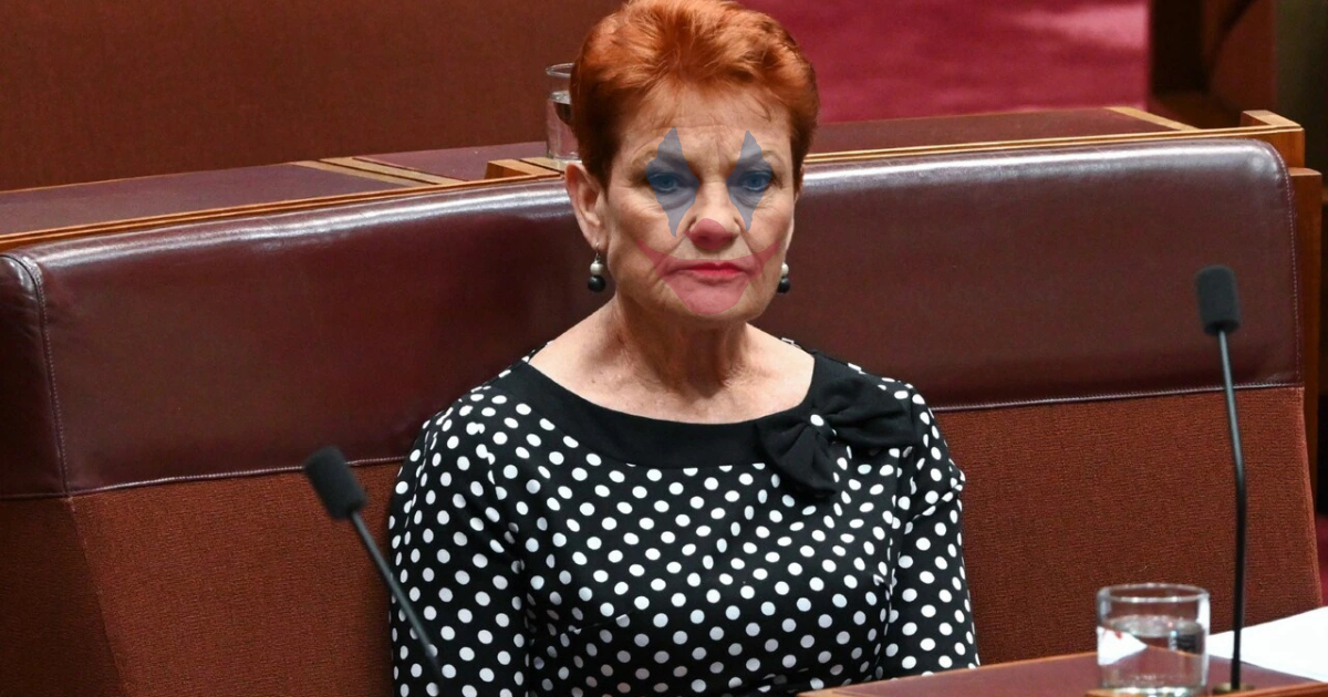 Politics needs Pauline Hanson.