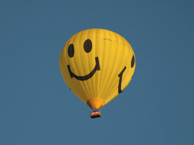 Humpback whales, voting rights and treaty: This was the good news in 2025