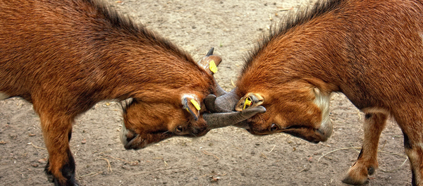 How I'm Re-Evaluating My 'Agree to Disagree' Friendships