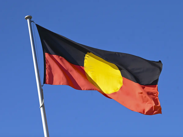 Transparency Statement: Where Zee Feed Stands on the Indigenous Voice to Parliament