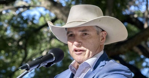 1800s abortion ban (Katter's Version)